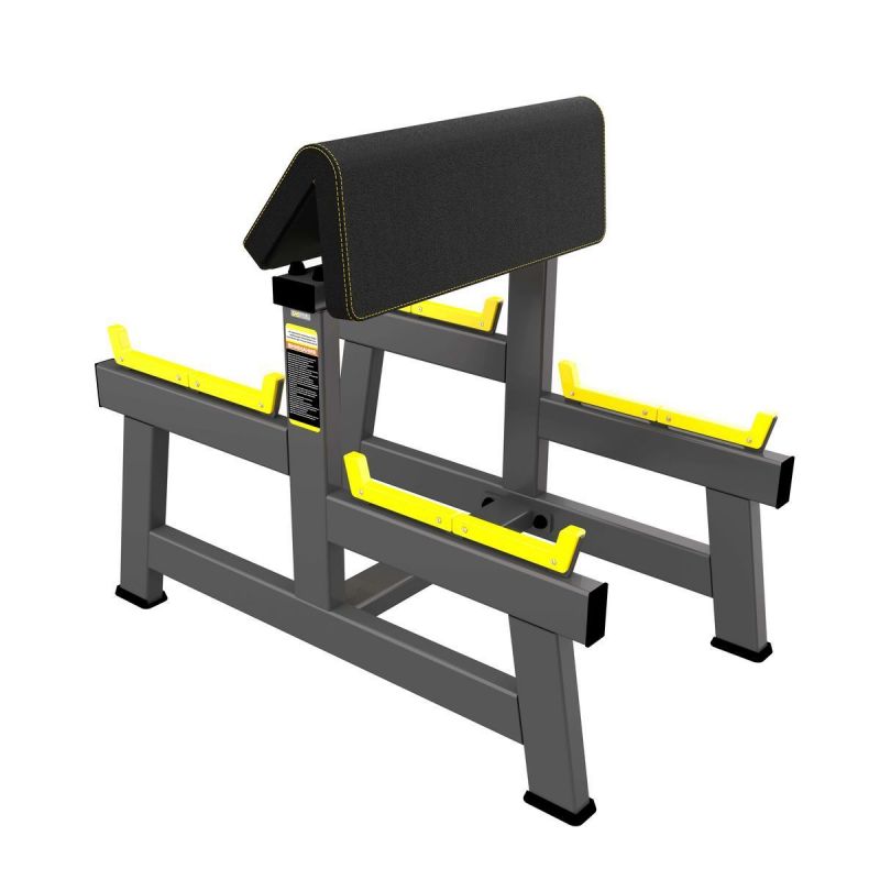Скамья Скотта для бицепса DHZ A2044 | Premium Fitness