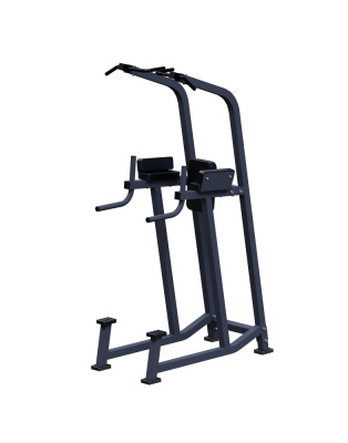 Пресс-брусья с турником ARMS ARM031.1 | Premium Fitness