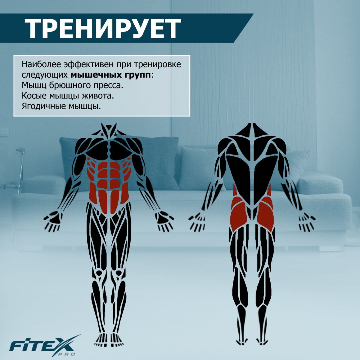 Тренажер для пресса Fitex Pro AB Coaster Club