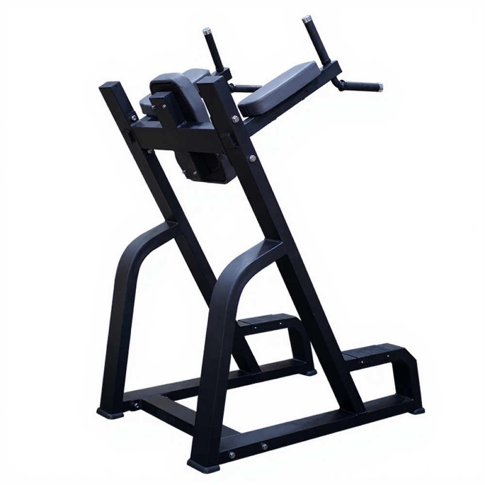 Брусья Pumpset 1647 | Premium Fitness