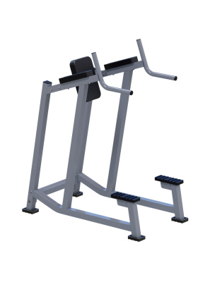 Брусья ARMS ARMSX601 | Premium Fitness