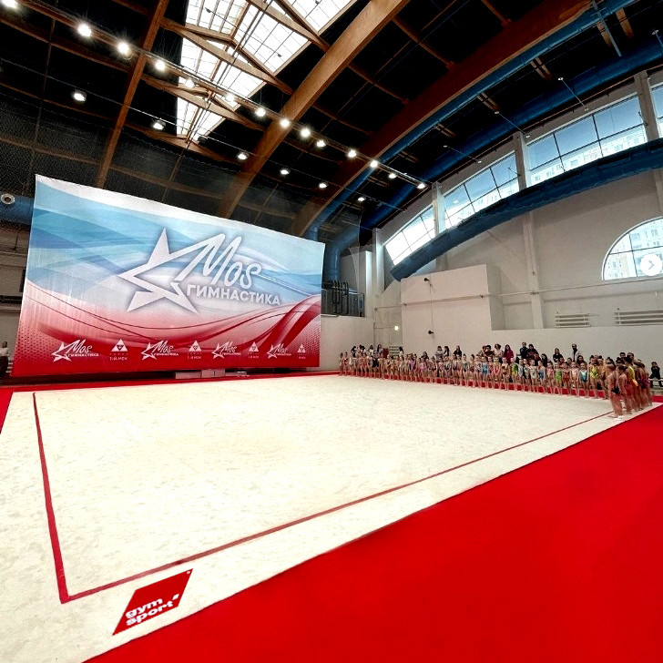 Ковер гимнастический GymSport PROF PREMIUM 4х11м