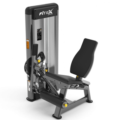 Разгибатель бедра Fitex Pro FTX-61F24
 | Premium Fitness