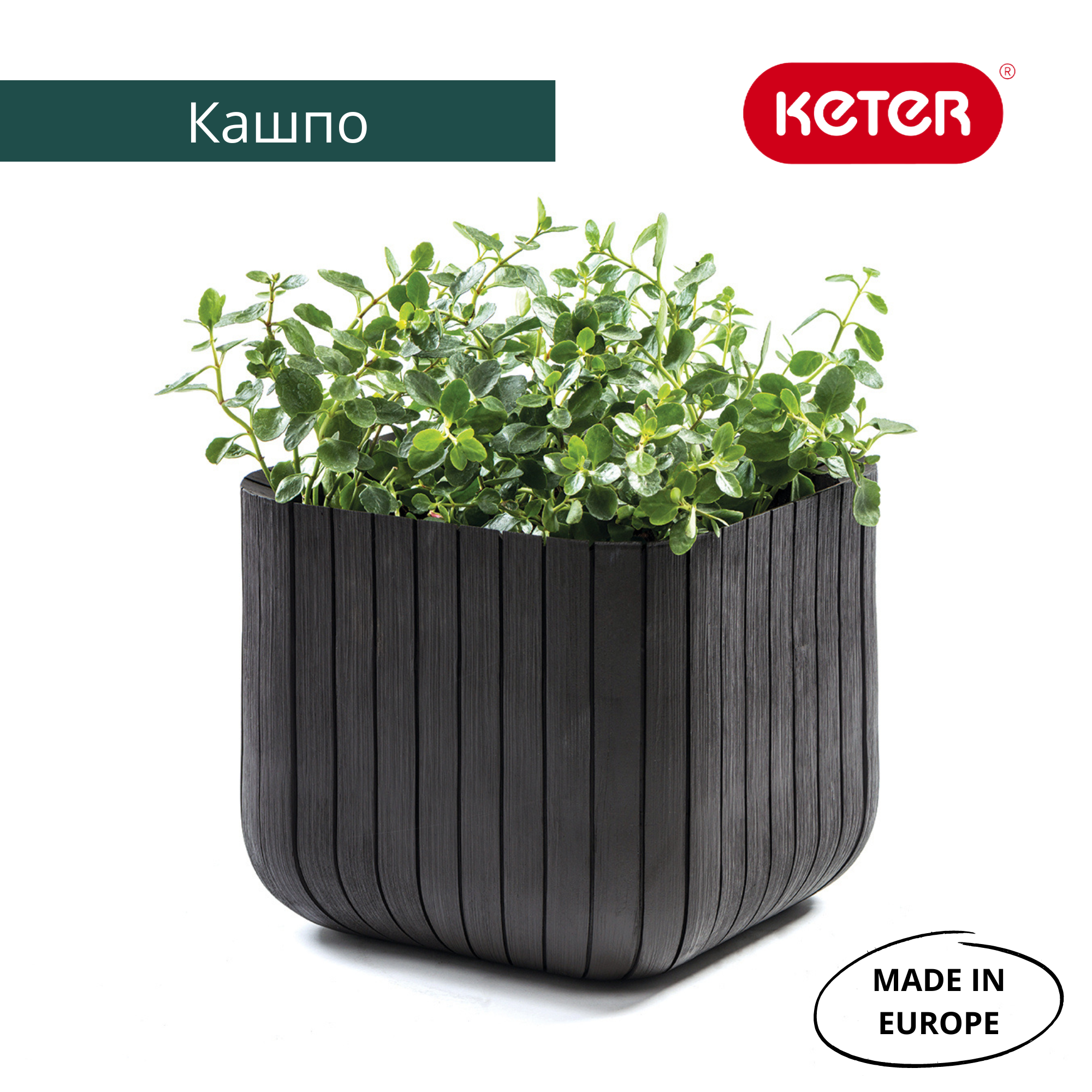 Кашпо коричневое Keter Cube L (Куб)