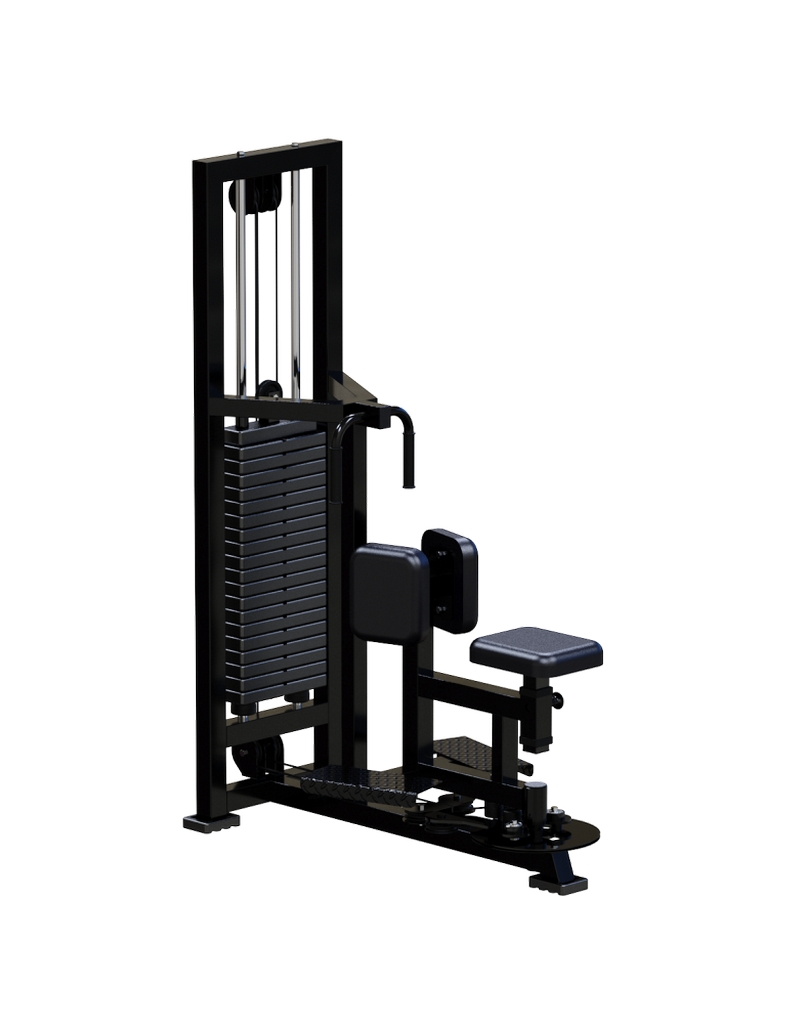 Торс-машина ARMS ARM051 | Premium Fitness