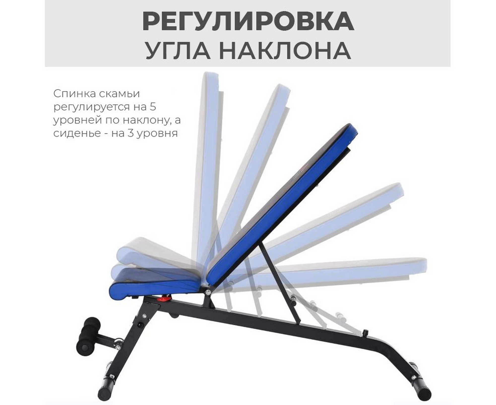 Скамья силовая универсальная DFC Pro Fitness D848 | Premium Fitness
