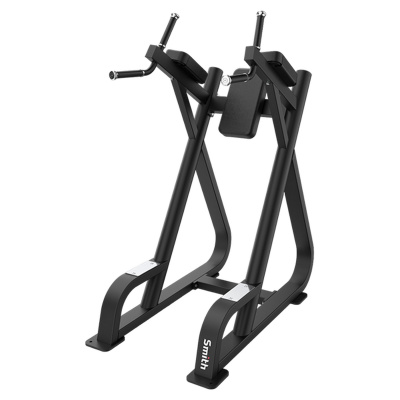 Поднятие коленей\брусья Smith Fitness SR007 | Premium Fitness