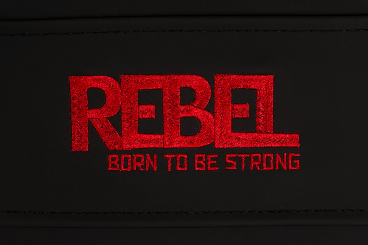 Гиперэкстензия REBEL RHYP03 P3 | Premium Fitness