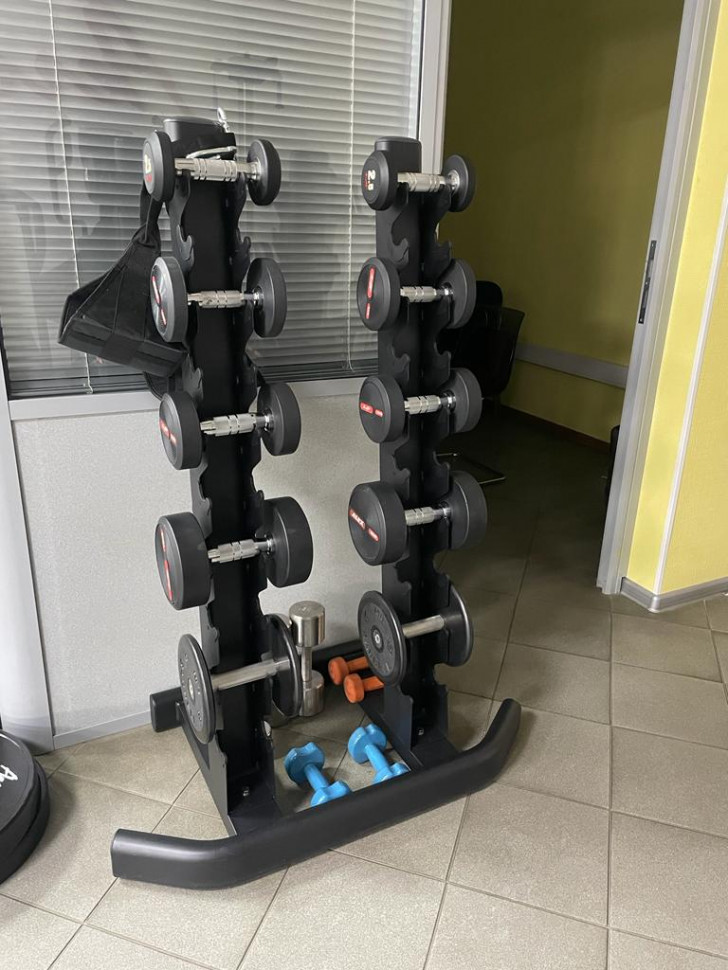 Стойка дляхранения 10-ти пар хромированных гантелей Aerofit AFDR110 | Premium Fitness