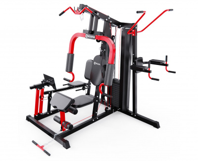 Силовой комплекс DFC WRK-5200 | Premium Fitness