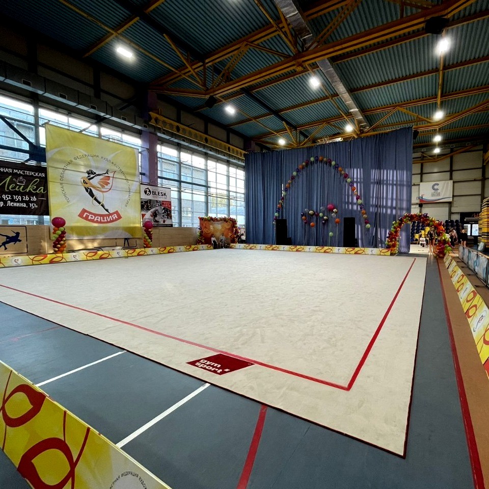 Ковер гимнастический GymSport PROF PREMIUM 4х11м